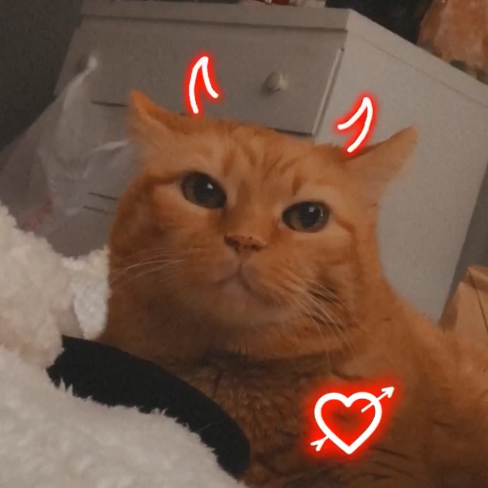 Meet your Posher, Nat